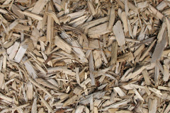biomass boilers Leacanasigh